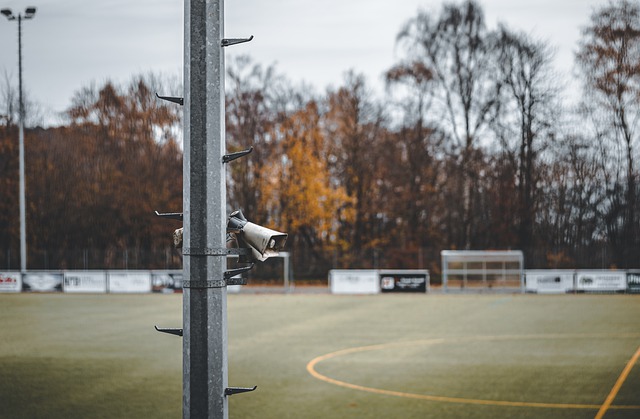 却始终未能 却始终未能