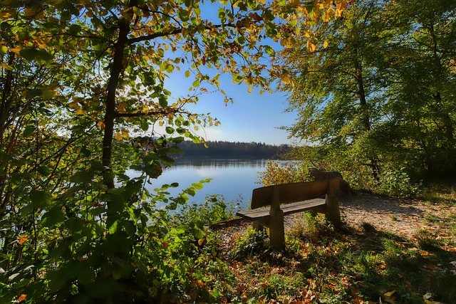 北京的观众 北京的观众