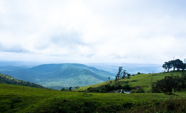 人轮换无一 人轮换无一